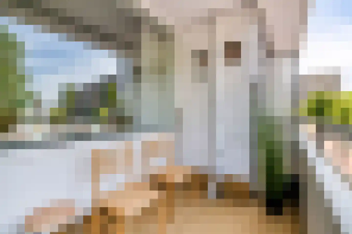 Papsouwselaan 219 Delft thumbnail 27