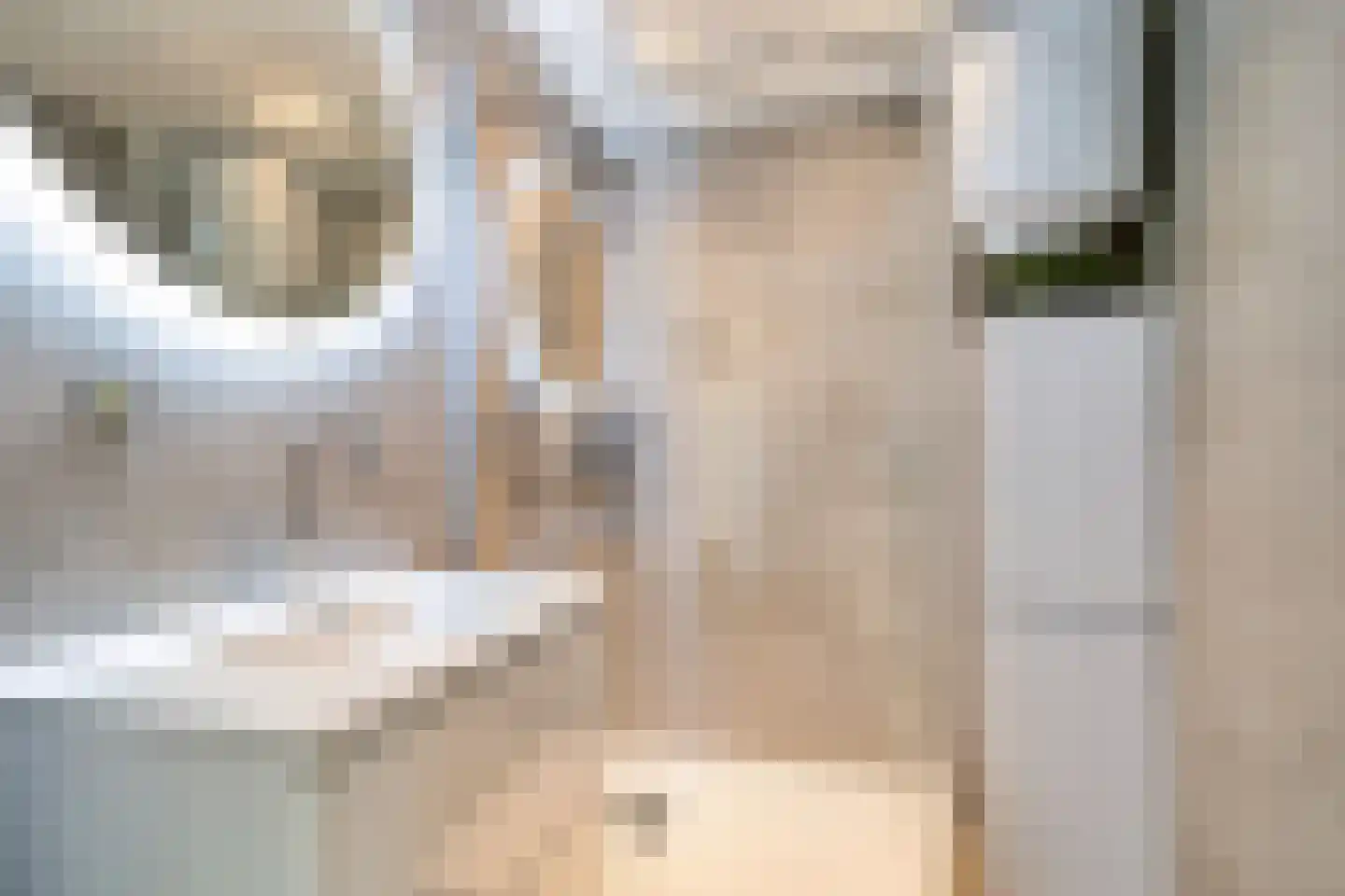 Papsouwselaan 219 Delft thumbnail 34