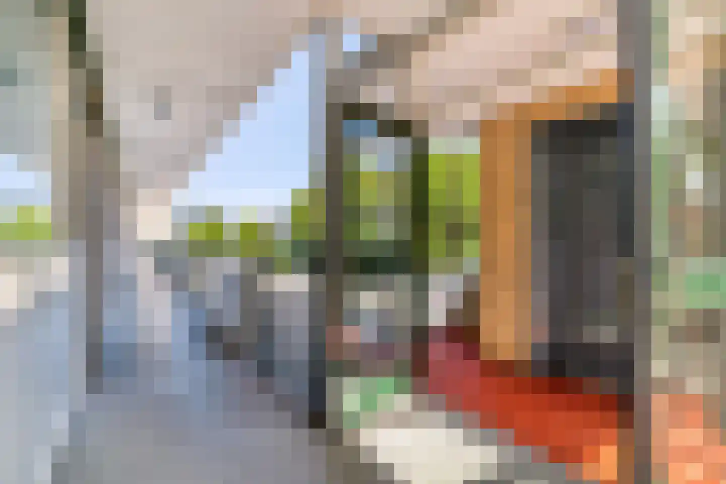 Papsouwselaan 219 Delft thumbnail 8
