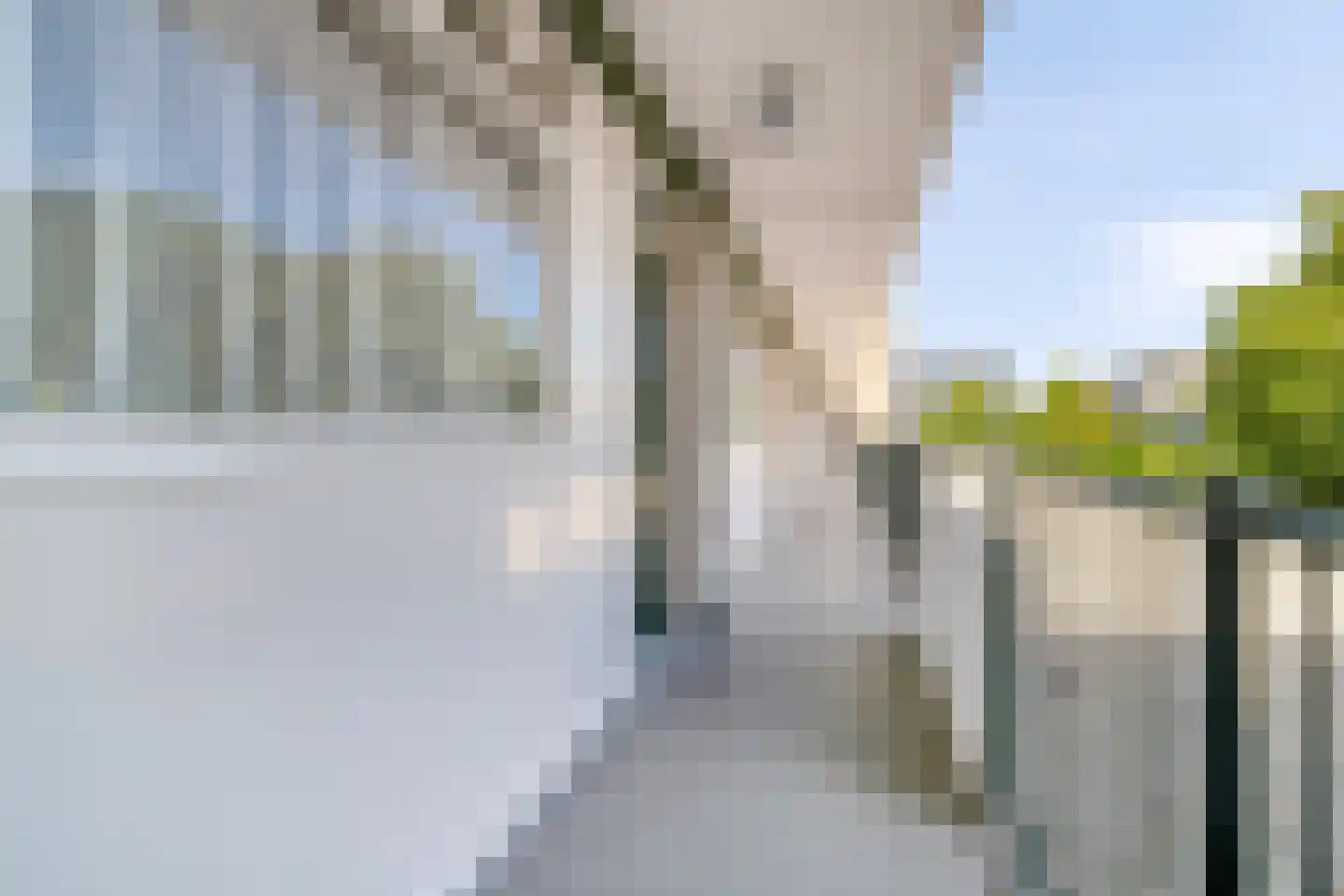Papsouwselaan 219 Delft thumbnail 9