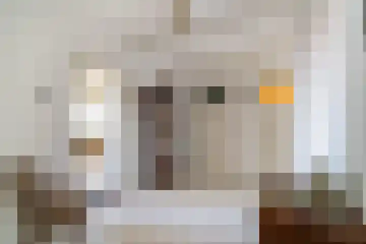 Papsouwselaan 221 Delft thumbnail 12
