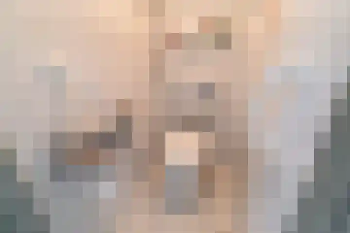 Papsouwselaan 221 Delft thumbnail 13