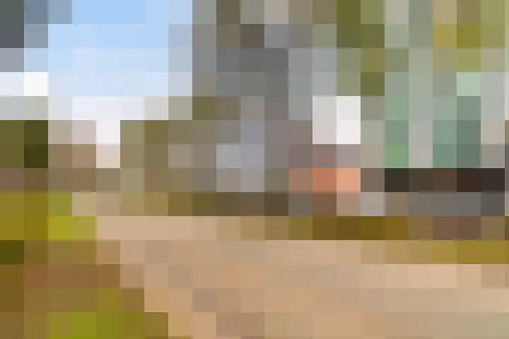 Papsouwselaan 221 Delft thumbnail 38