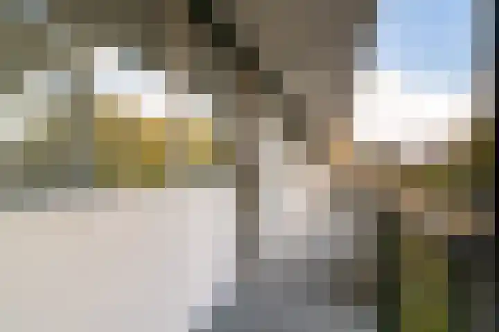 Papsouwselaan 221 Delft thumbnail 9
