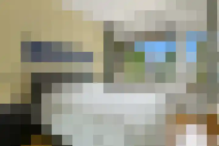 Papsouwselaan 223 Delft thumbnail 22