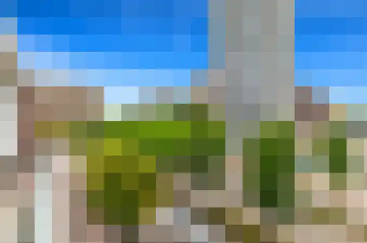 Papsouwselaan 267 Delft thumbnail 13