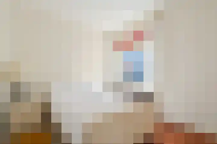 Papsouwselaan 267 Delft thumbnail 19
