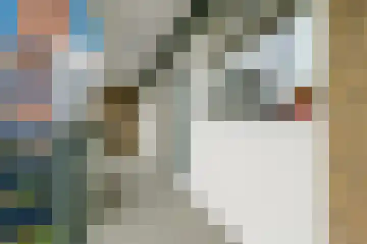 Papsouwselaan 267 Delft thumbnail 5