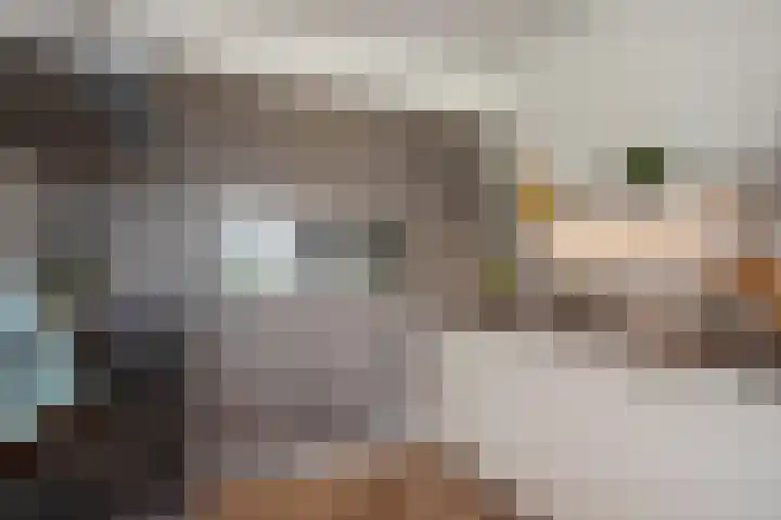 Papsouwselaan 273 Delft thumbnail 15