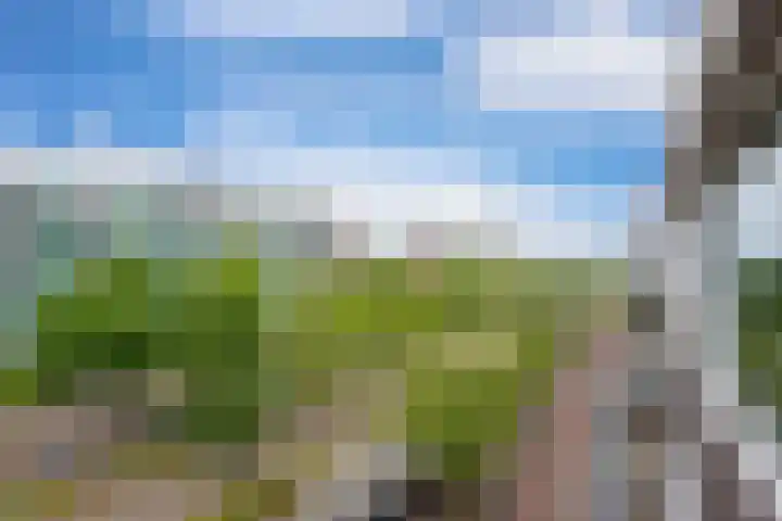 Papsouwselaan 273 Delft thumbnail 24