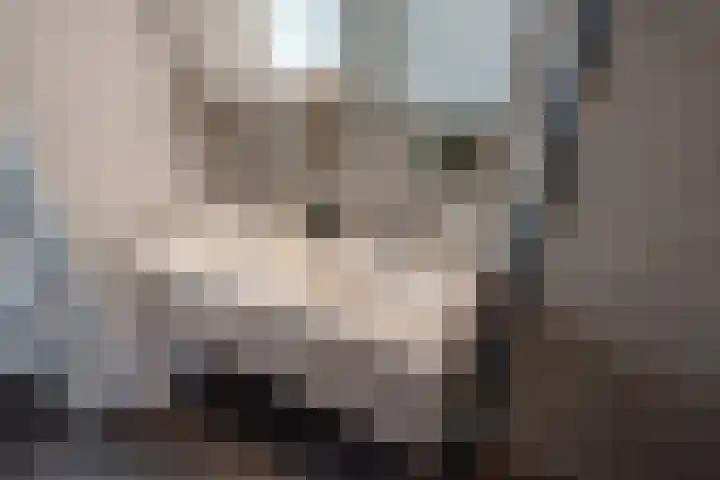 Papsouwselaan 273 Delft thumbnail 40