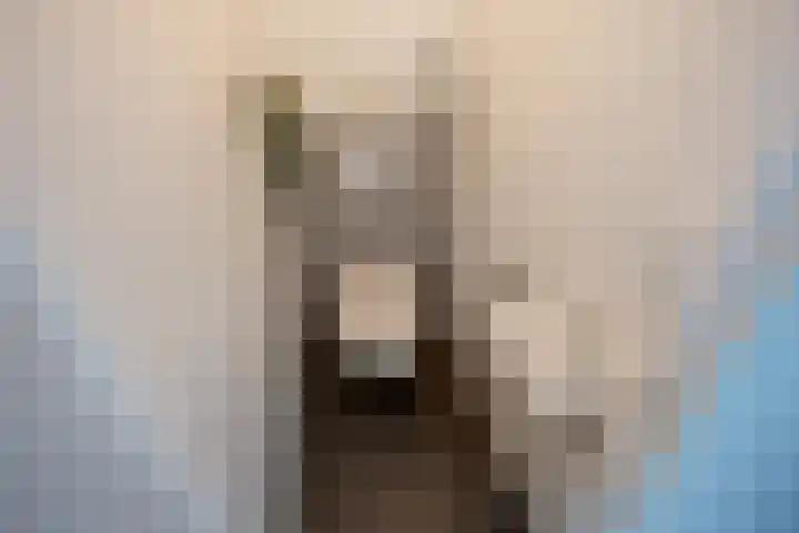 Papsouwselaan 273 Delft thumbnail 41