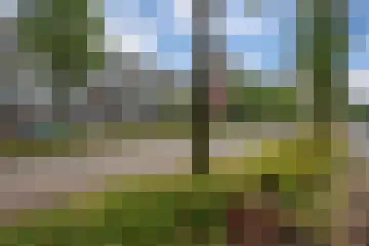 Papsouwselaan 273 Delft thumbnail 43