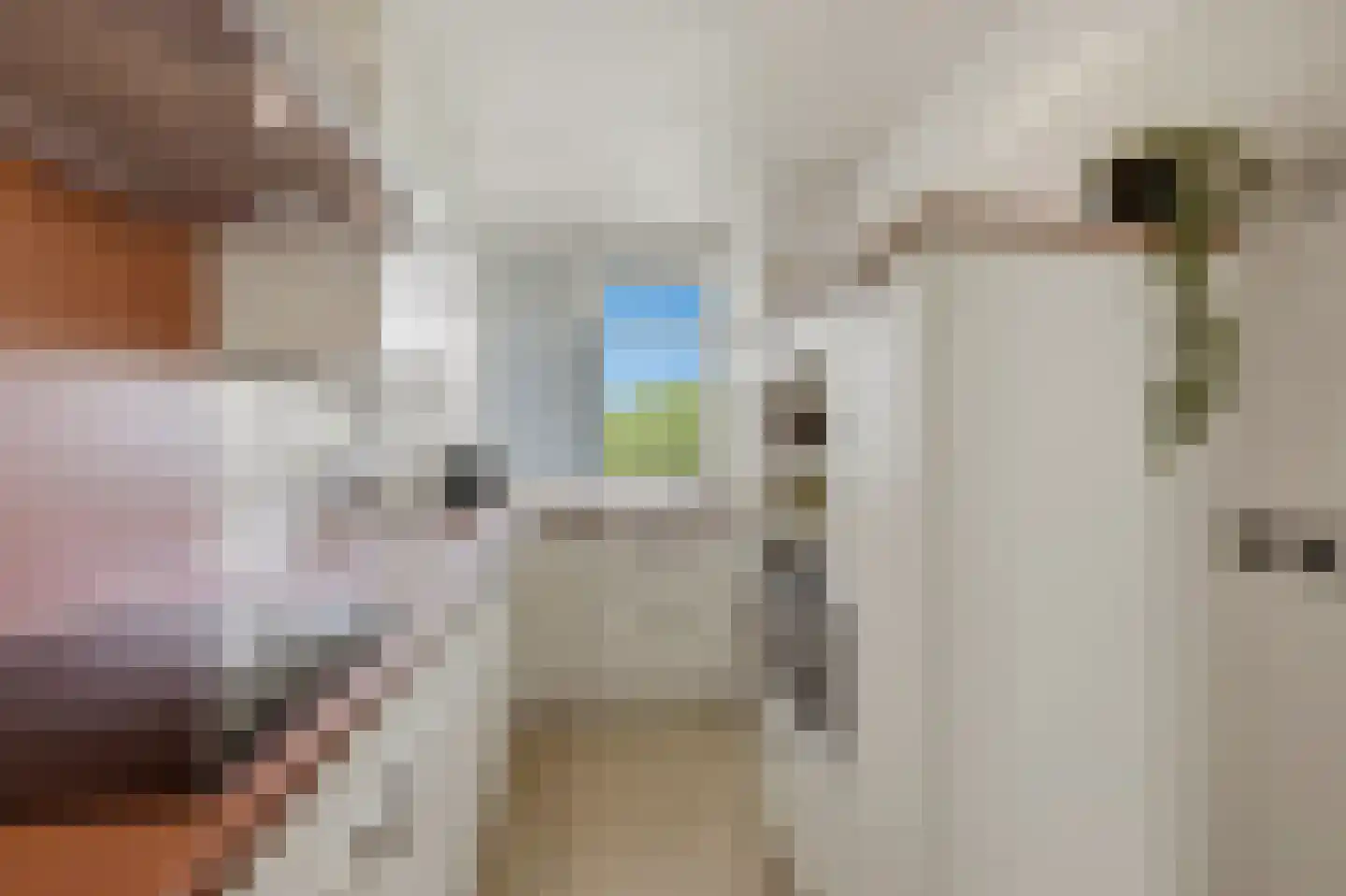 Papsouwselaan 283 Delft thumbnail 12