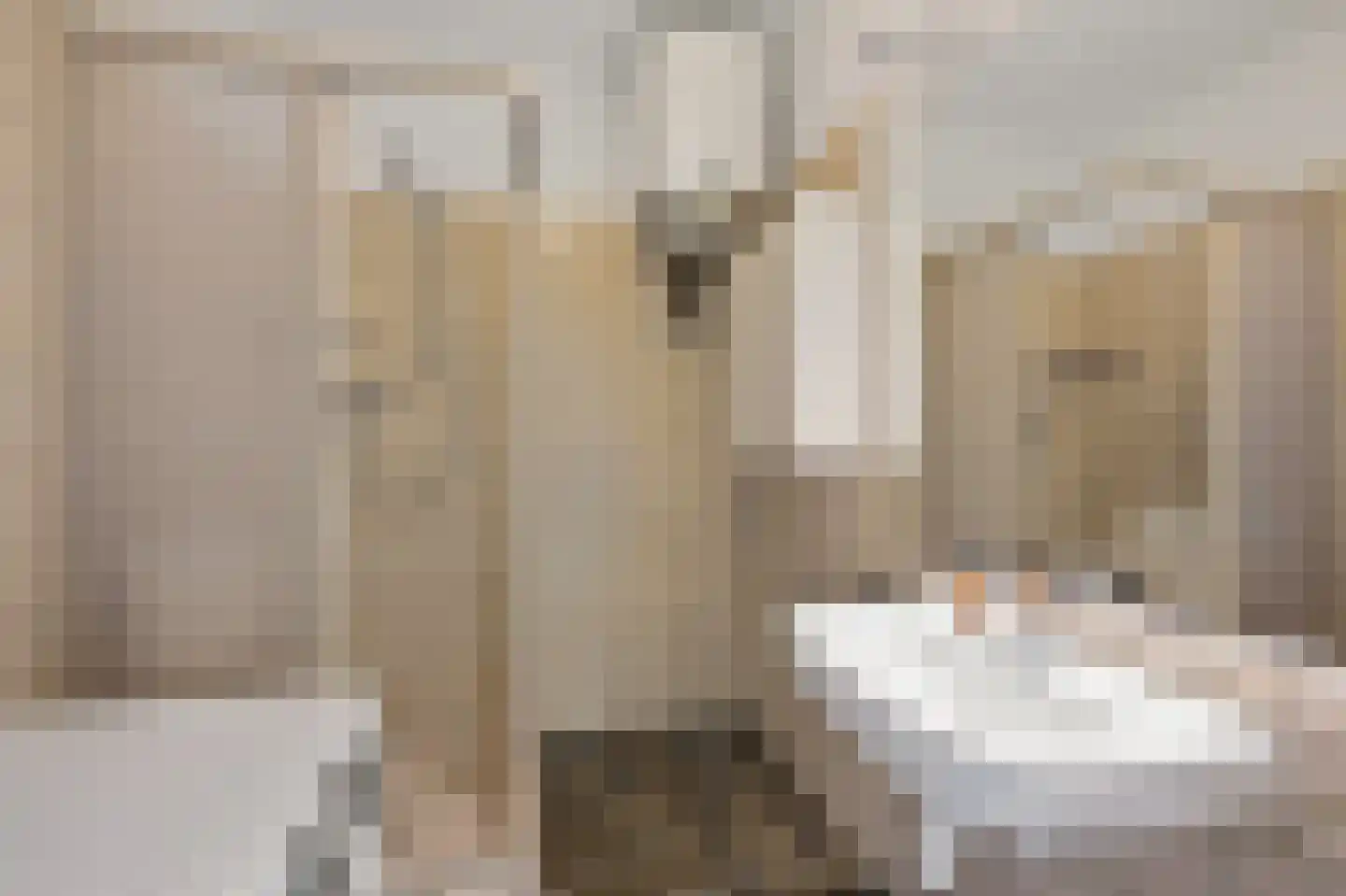 Papsouwselaan 283 Delft thumbnail 23
