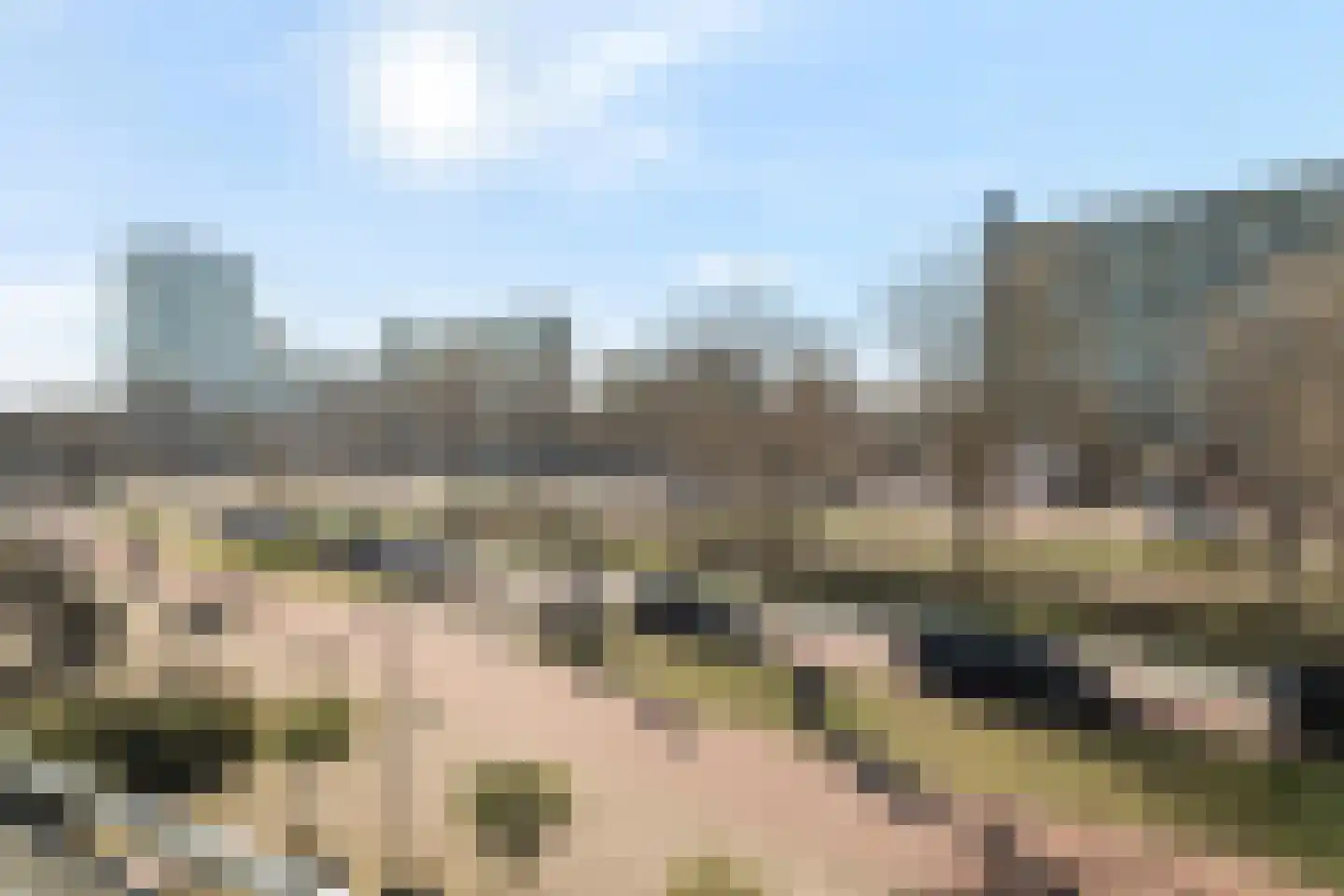Papsouwselaan 39 Delft thumbnail 11