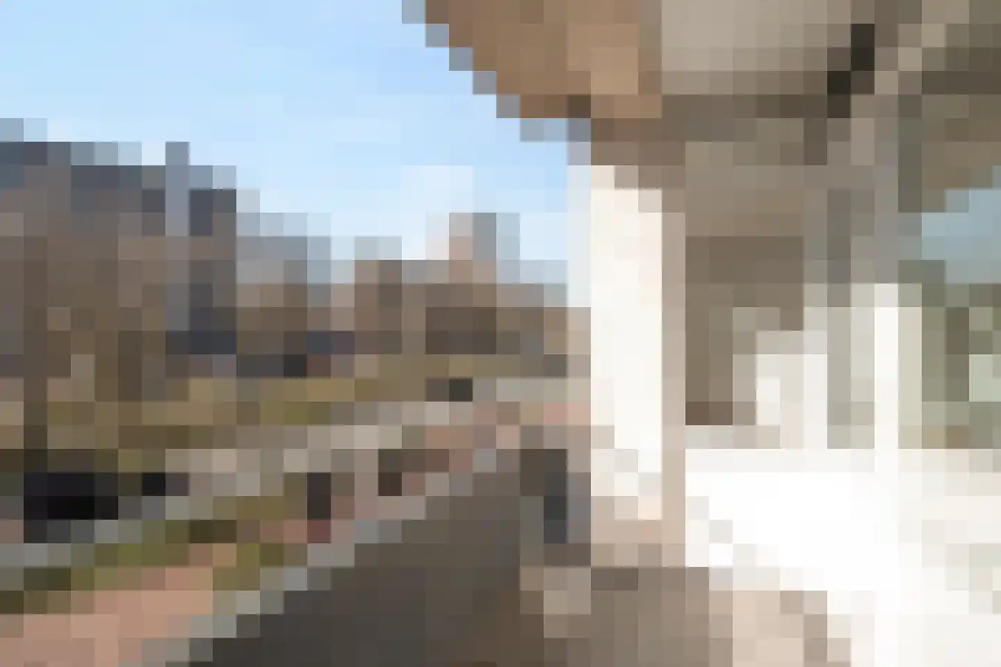 Papsouwselaan 39 Delft thumbnail 9