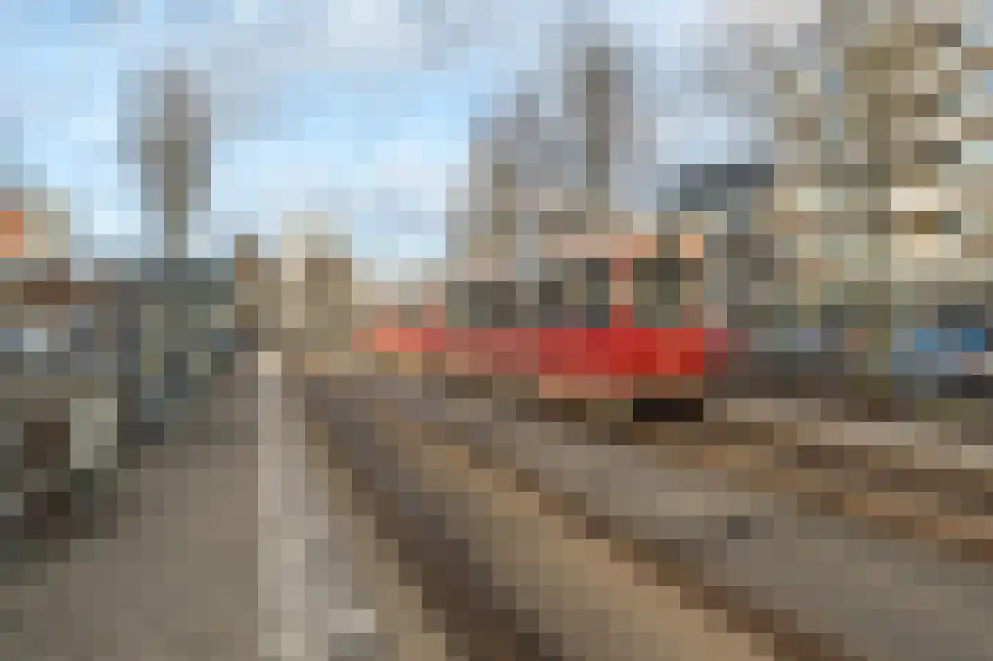 Papsouwselaan 81 Delft thumbnail 20