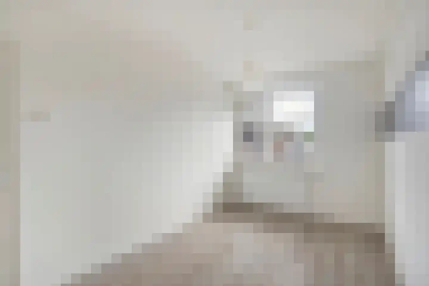 Papsouwselaan 81 Delft thumbnail 9