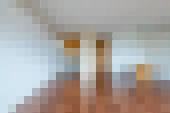 Papyruspad 177 Rijswijk thumbnail 18