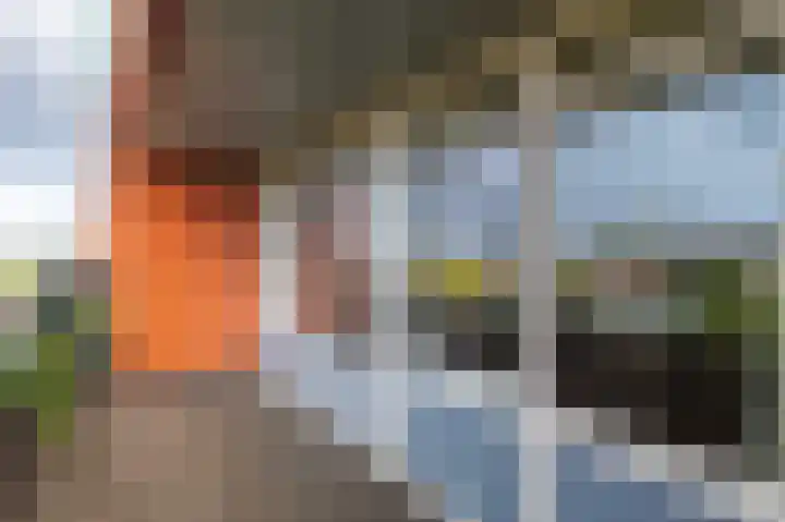 Papyruspad 177 Rijswijk thumbnail 20