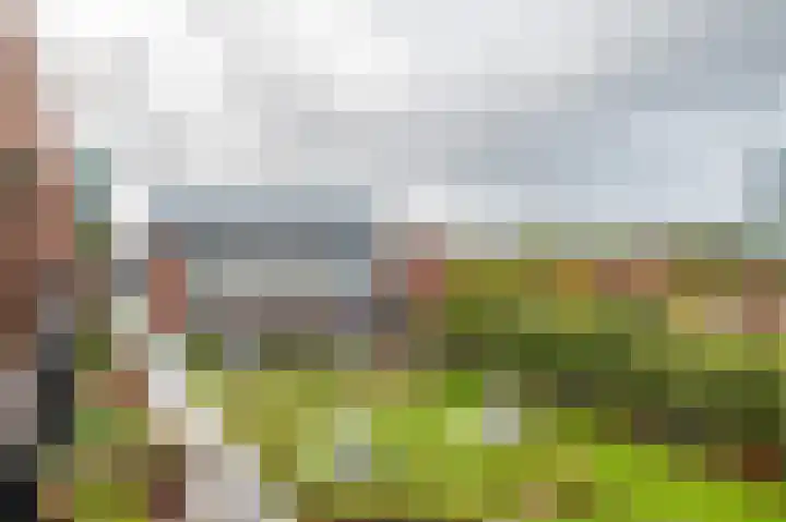 Papyruspad 177 Rijswijk thumbnail 21