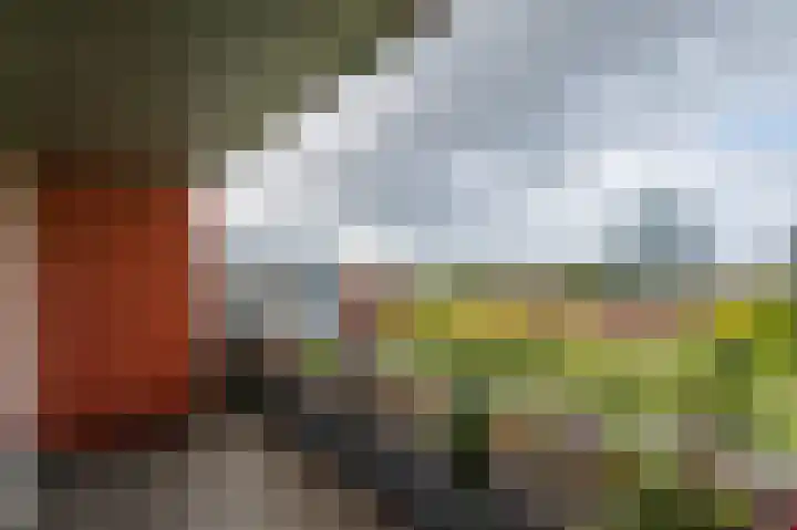 Papyruspad 177 Rijswijk thumbnail 23