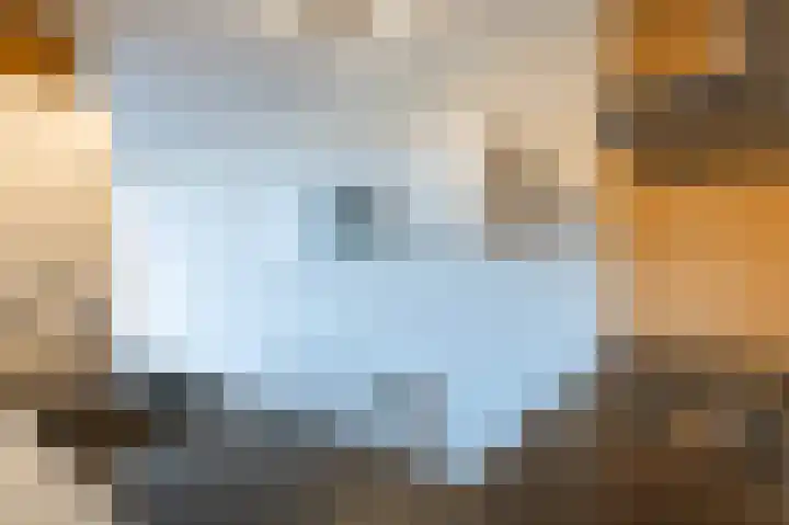 Papyruspad 177 Rijswijk thumbnail 27