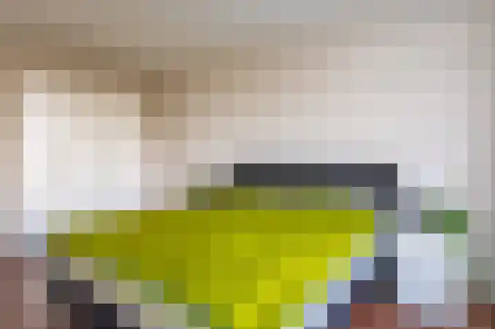 Papyruspad 177 Rijswijk thumbnail 35