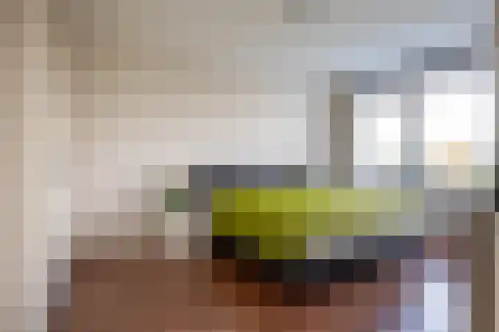 Papyruspad 177 Rijswijk thumbnail 36