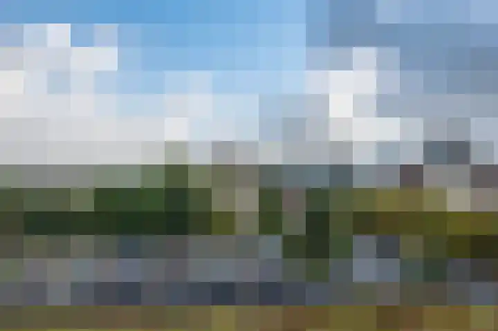 Papyruspad 177 Rijswijk thumbnail 37