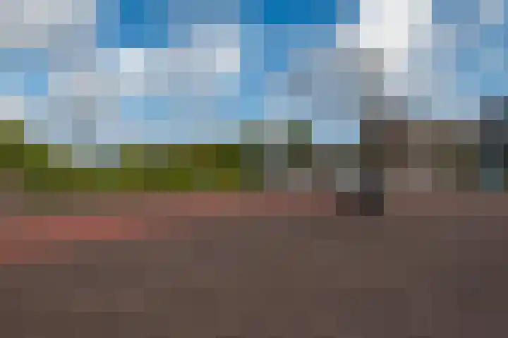 Papyruspad 177 Rijswijk thumbnail 40