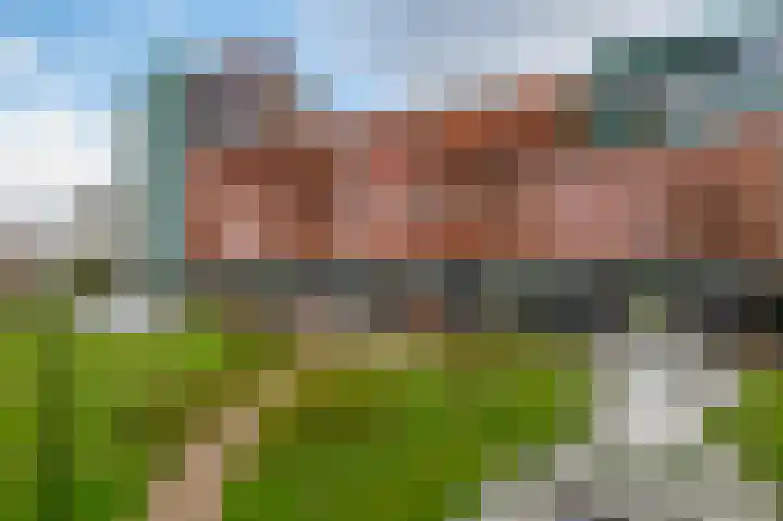 Papyruspad 177 Rijswijk thumbnail 8