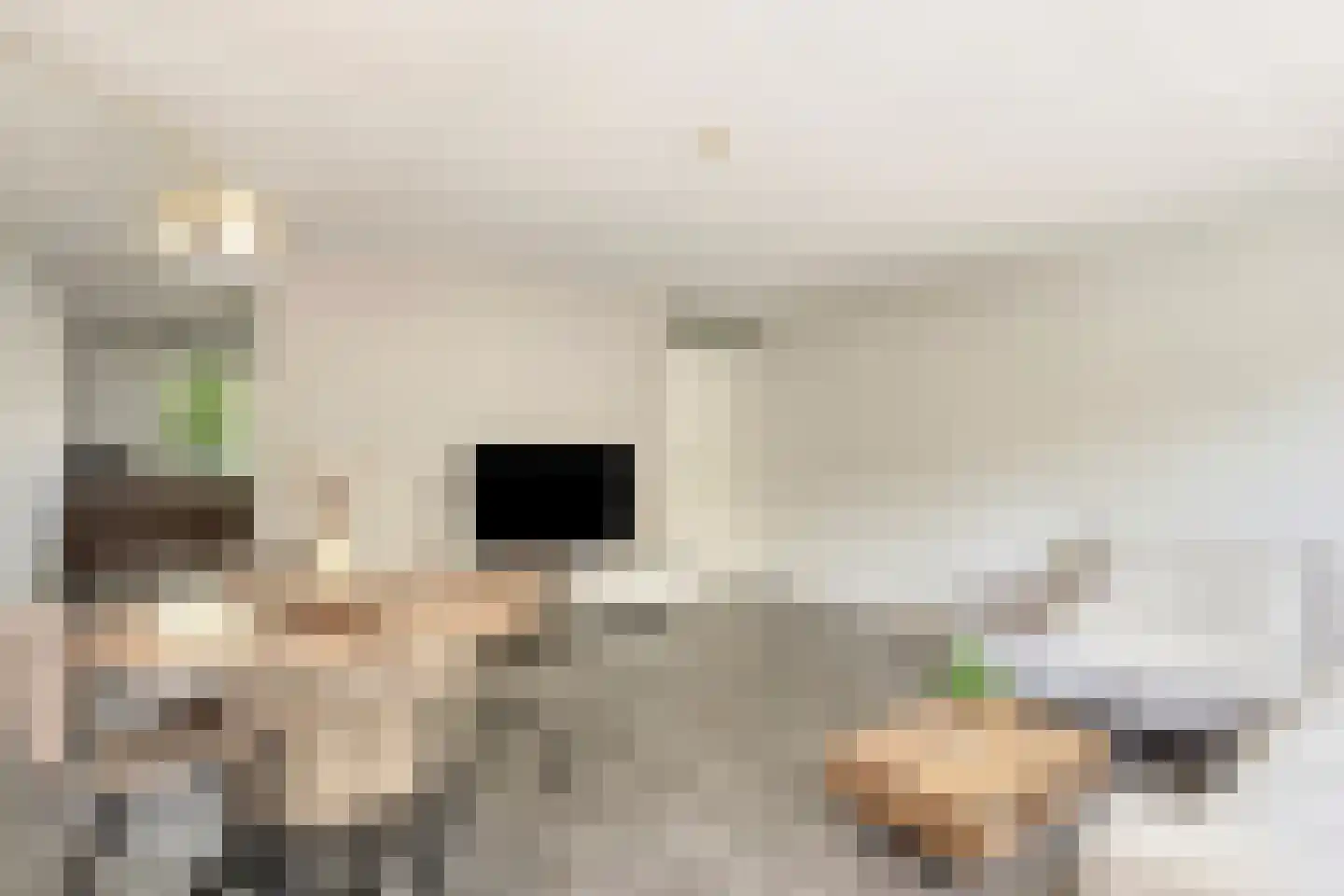 Papyrussingel 48 Maastricht thumbnail 6