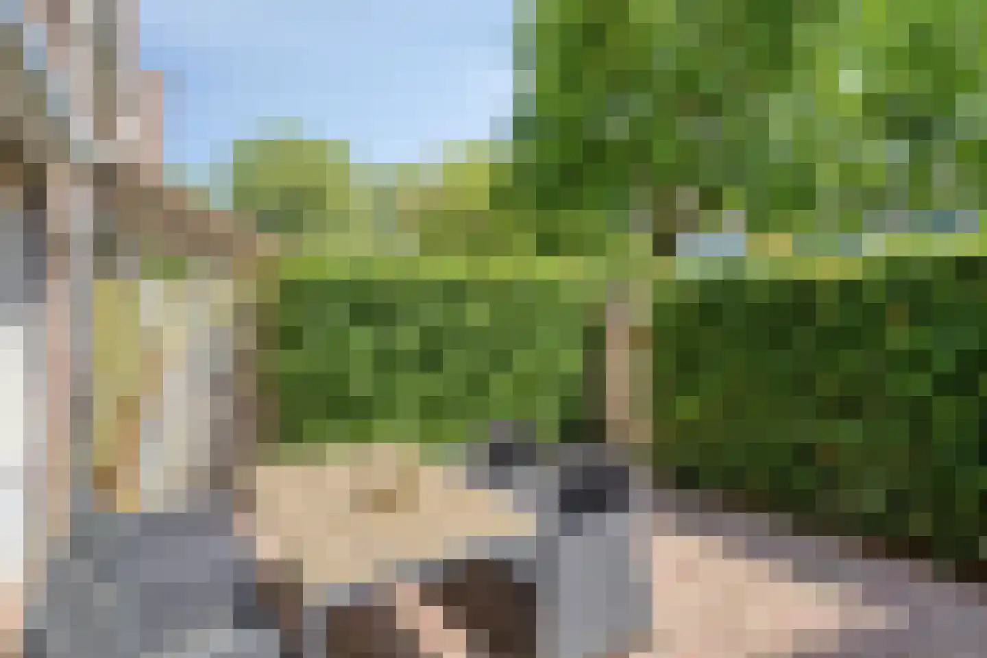 Papyrussingel 48 Maastricht thumbnail 9
