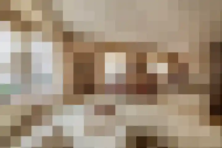 Parade 92 Venlo thumbnail 9