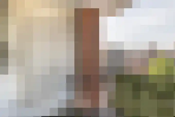 Paradeplein 14 Nootdorp thumbnail 8