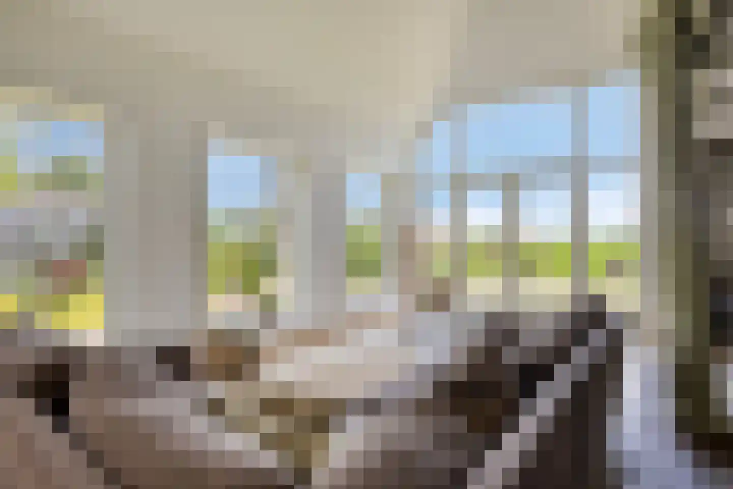 Paradijs 2 De Weere thumbnail 12