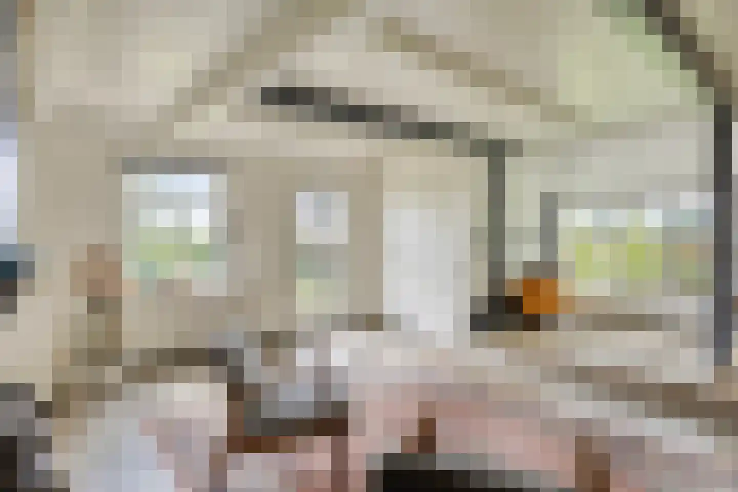 Paradijs 2 De Weere thumbnail 14