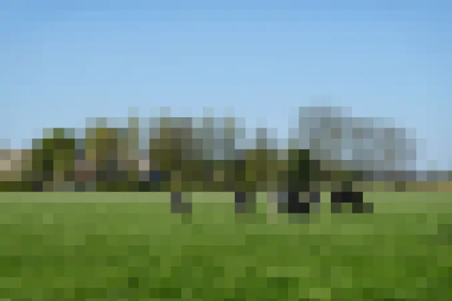 Paradijs 2 De Weere thumbnail 25
