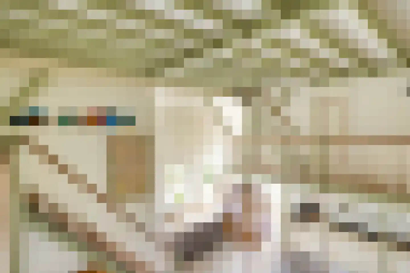 Paradijs 2 De Weere thumbnail 26
