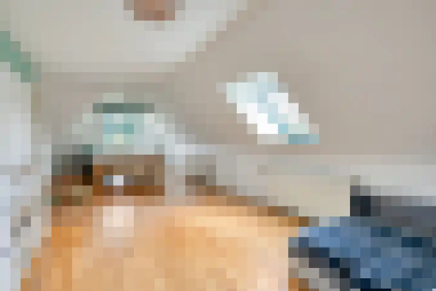 Paradijs 2 De Weere thumbnail 28