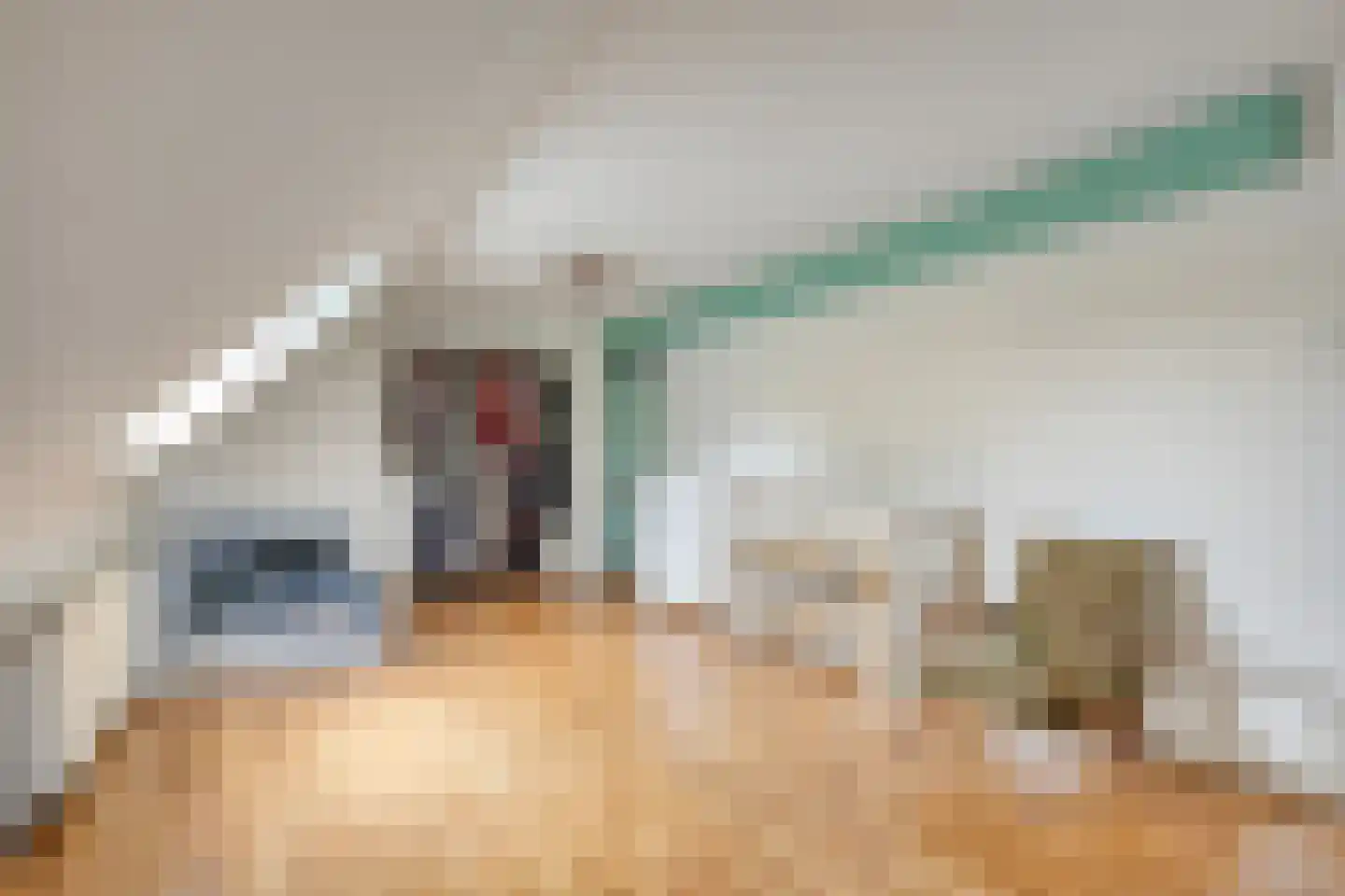 Paradijs 2 De Weere thumbnail 29