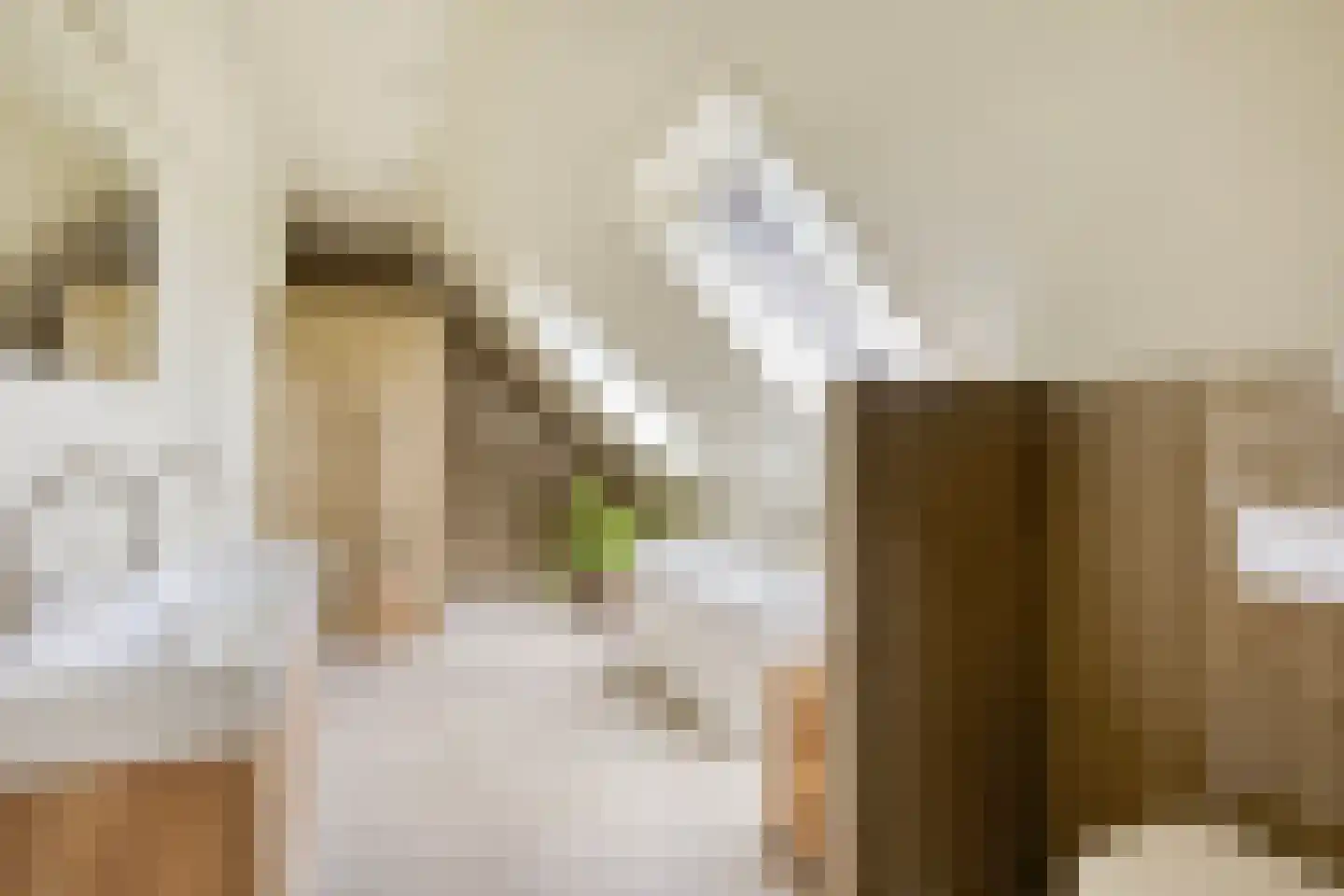 Paradijs 2 De Weere thumbnail 30