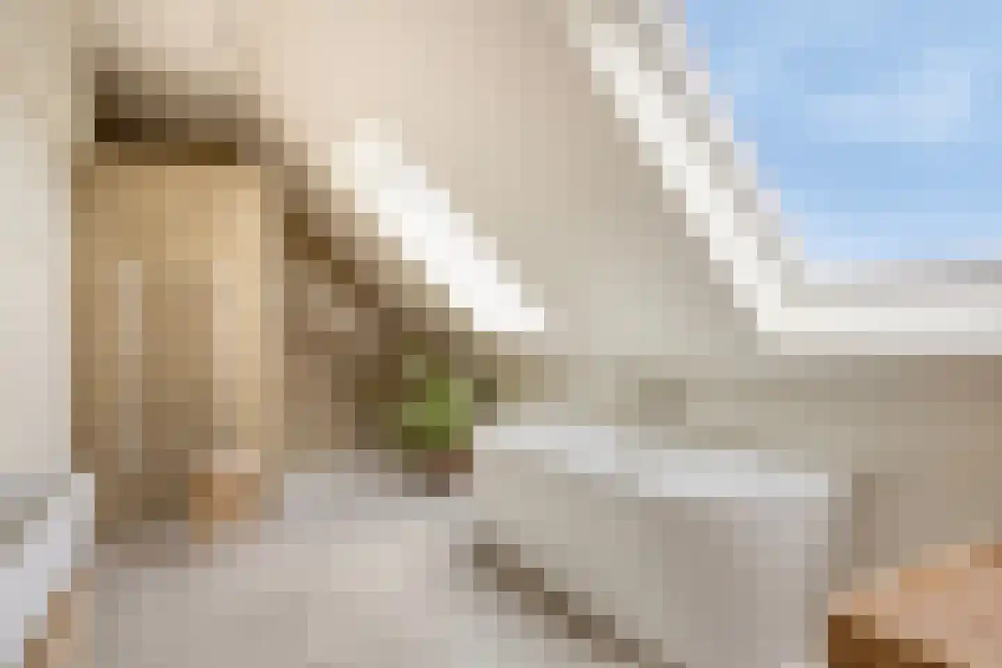 Paradijs 2 De Weere thumbnail 32