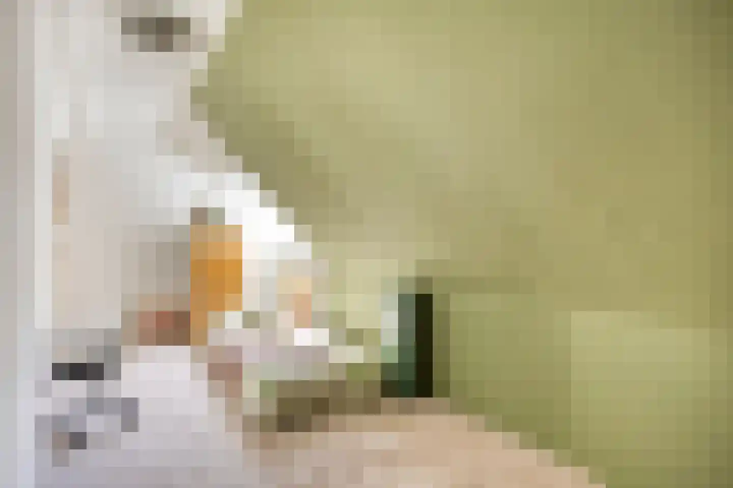 Paradijs 2 De Weere thumbnail 34