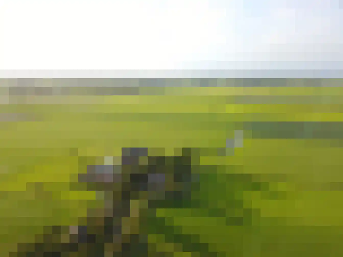 Paradijs 2 De Weere thumbnail 39