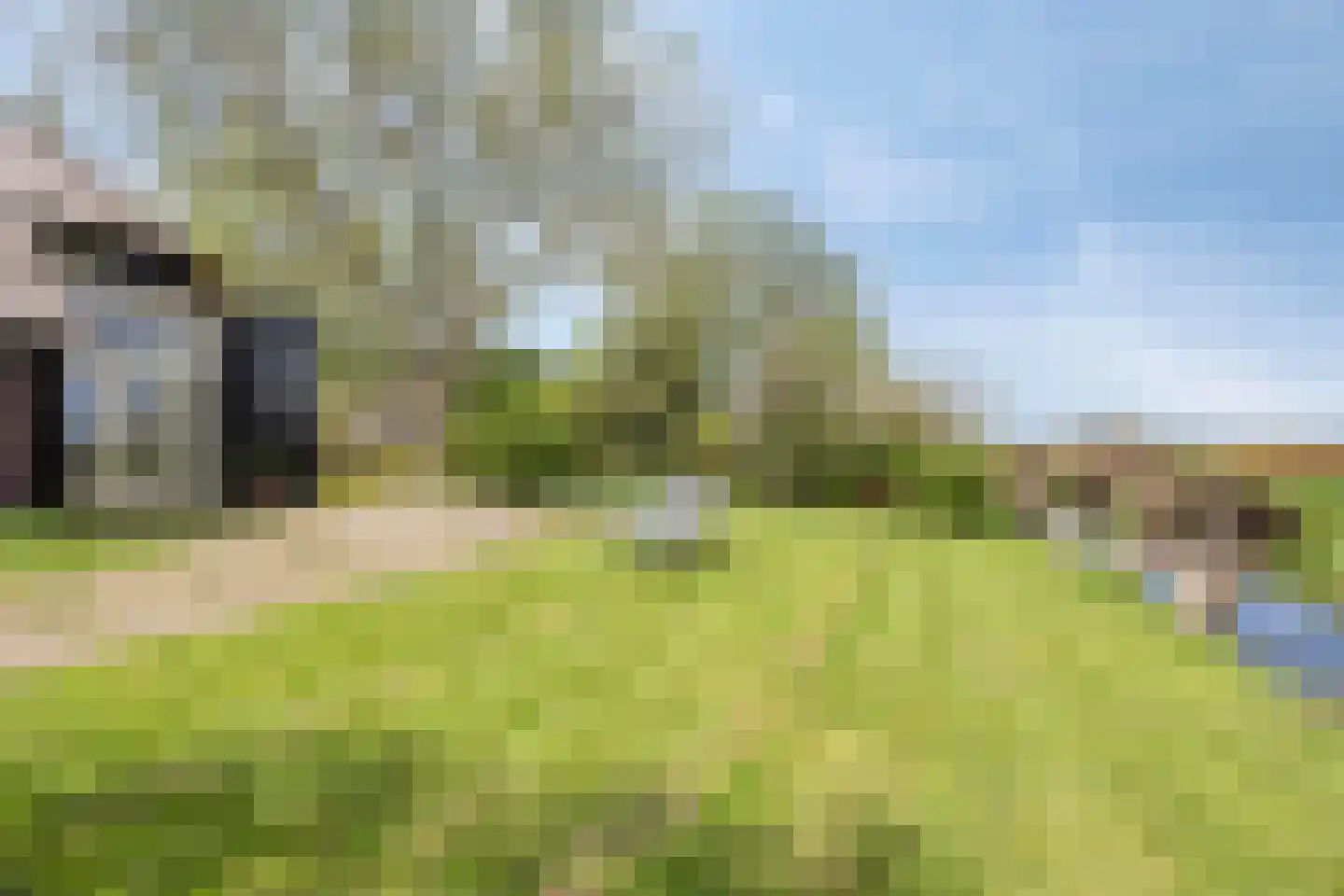 Paradijs 2 De Weere thumbnail 41