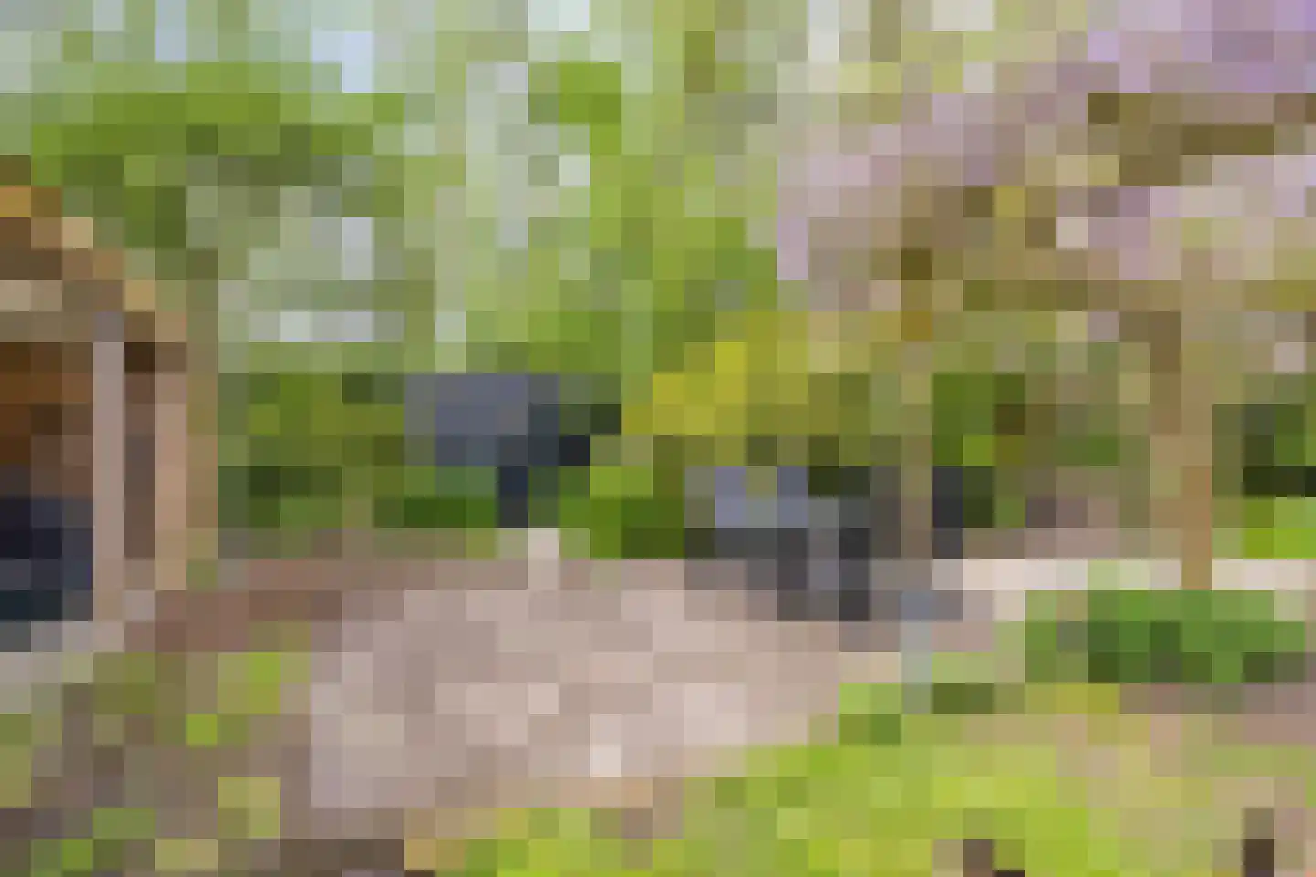 Paradijs 2 De Weere thumbnail 42