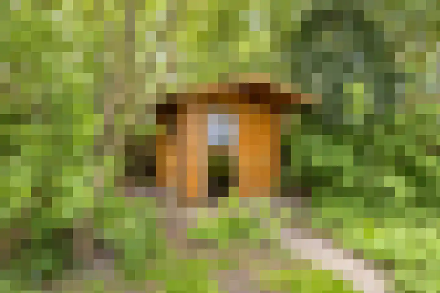 Paradijs 2 De Weere thumbnail 43
